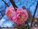 20220126_100303.jpg