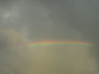 rainbow2014.jpg