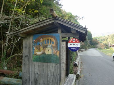 totoro.jpg